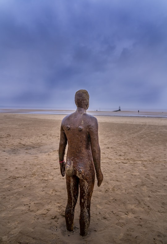 brown statue on brown sand under blue sky during daytime in Crosby Beach United Kingdom