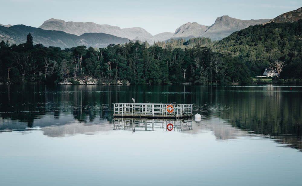 white and green boat on lake near green trees and mountain during daytime