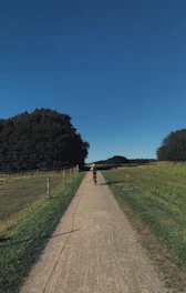 A rider cruising past green parks and trees on a sunny day.