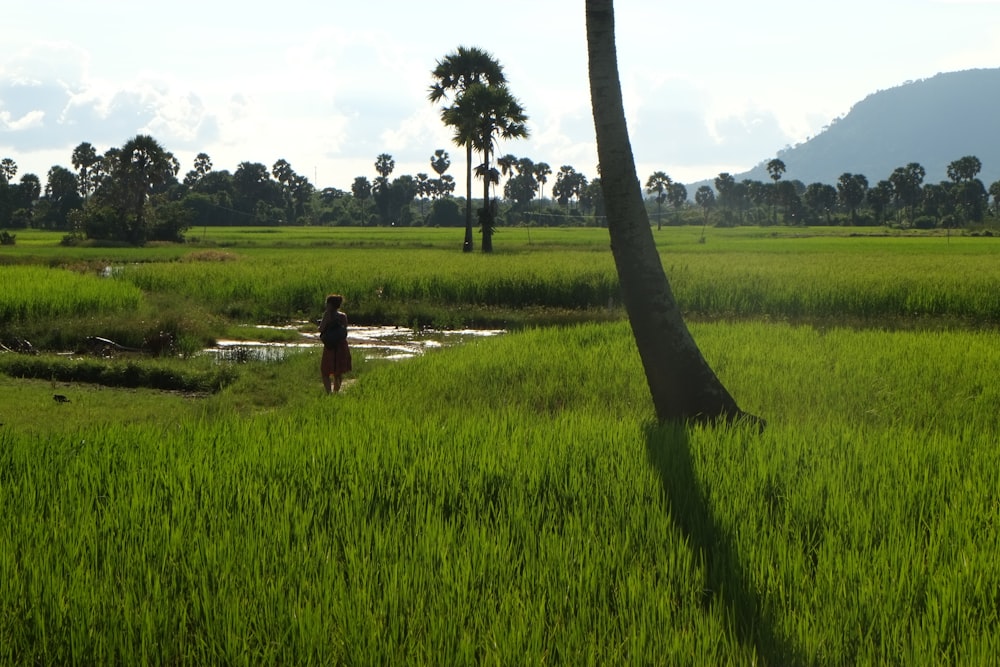 person in black shirt standing on green grass field during daytime