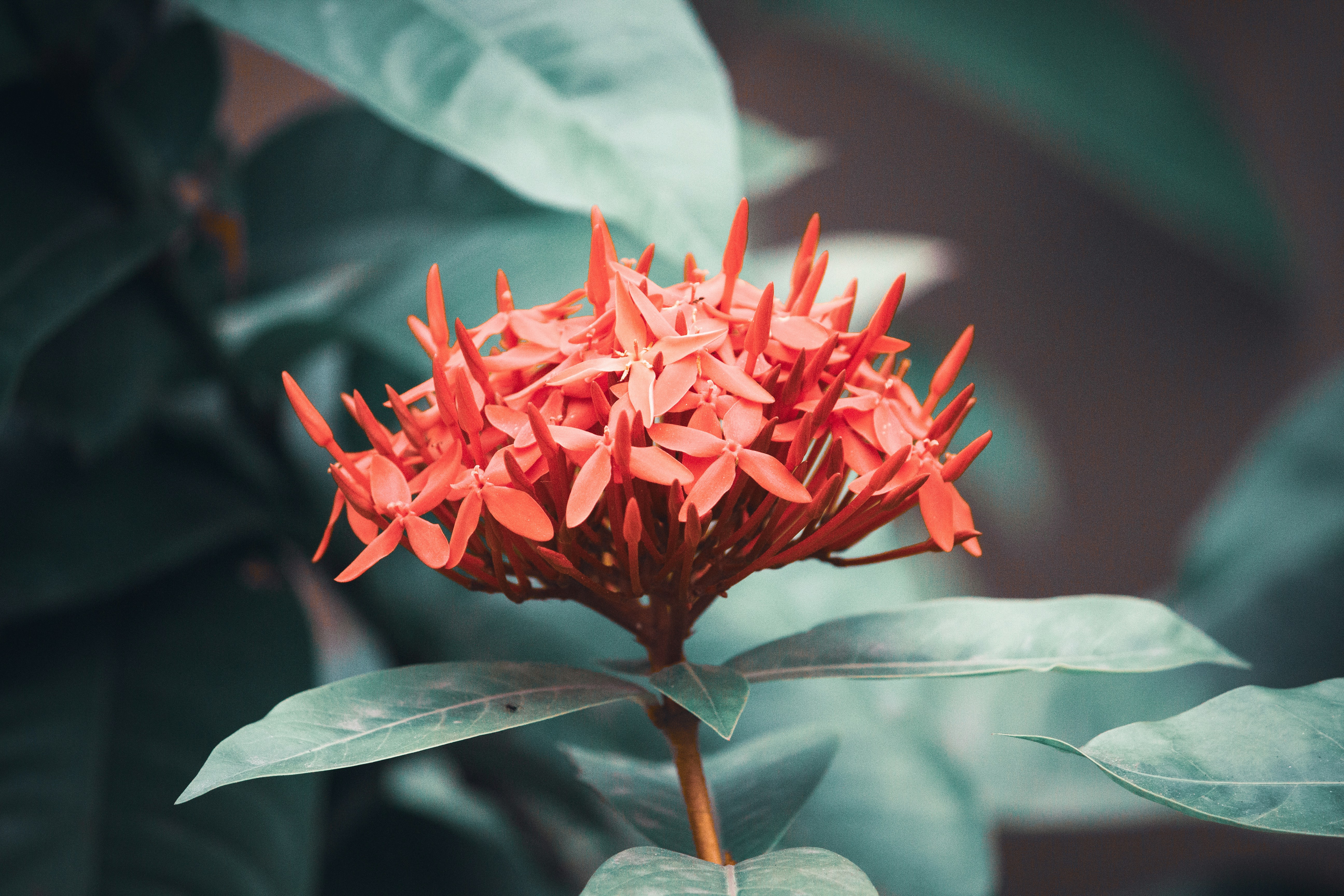 Photo by thilak_cm212