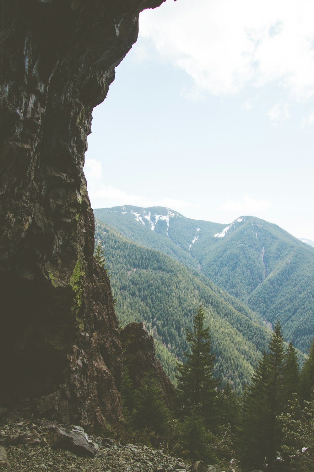 green trees on mountain during daytime