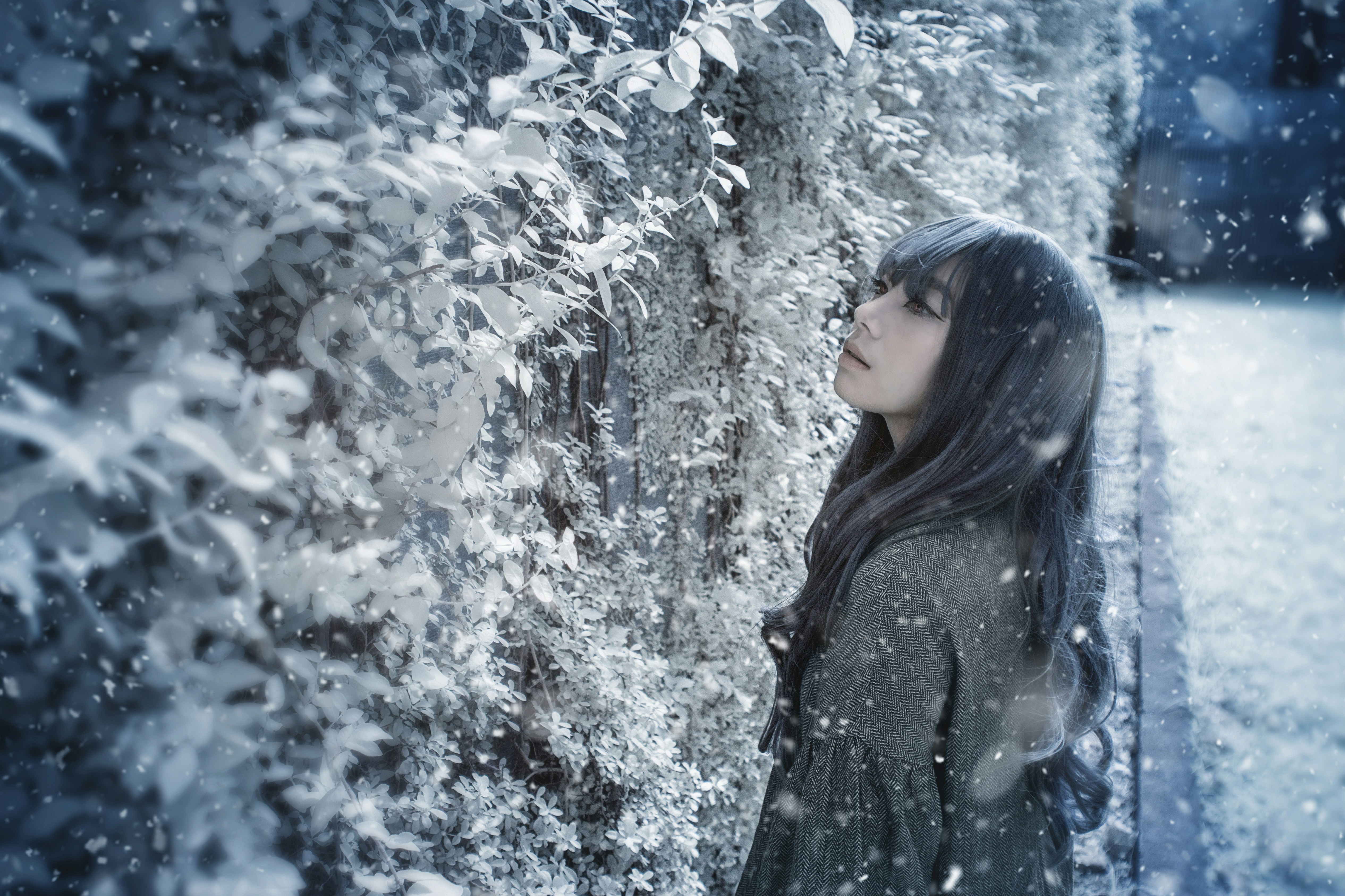 Photo by color0911