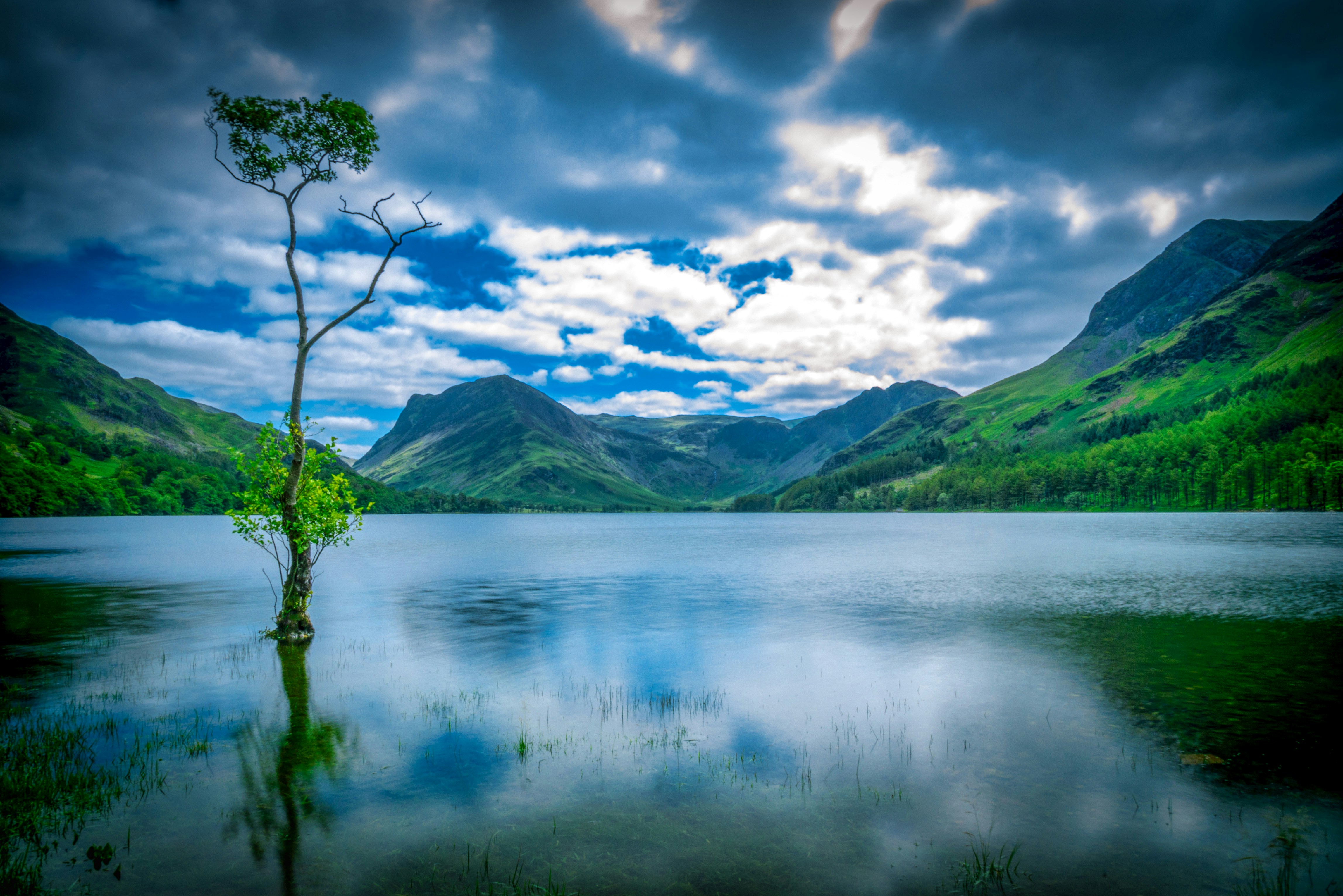 green mountains beside body of water under blue sky and white clouds during daytime, Lonely tree and buttermere 