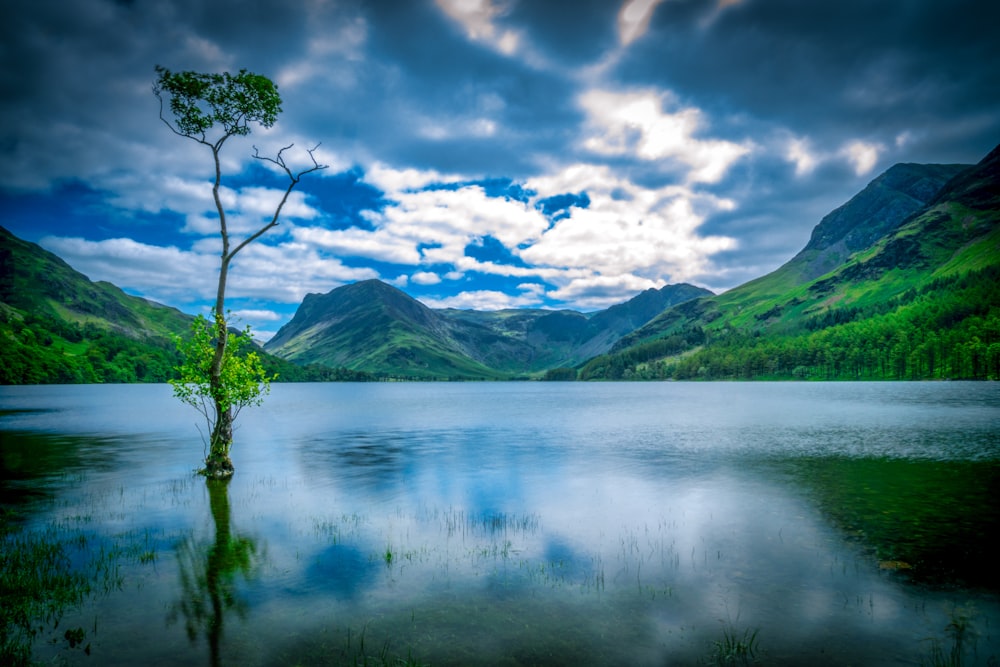 montañas verdes al lado del cuerpo de agua bajo el cielo azul y las nubes blancas durante el día