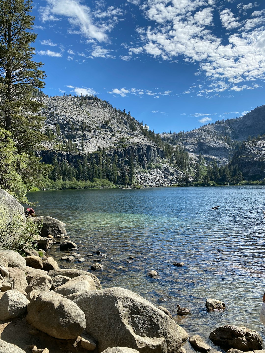 travelers stories about Mountain river in Lake Tahoe, United States
