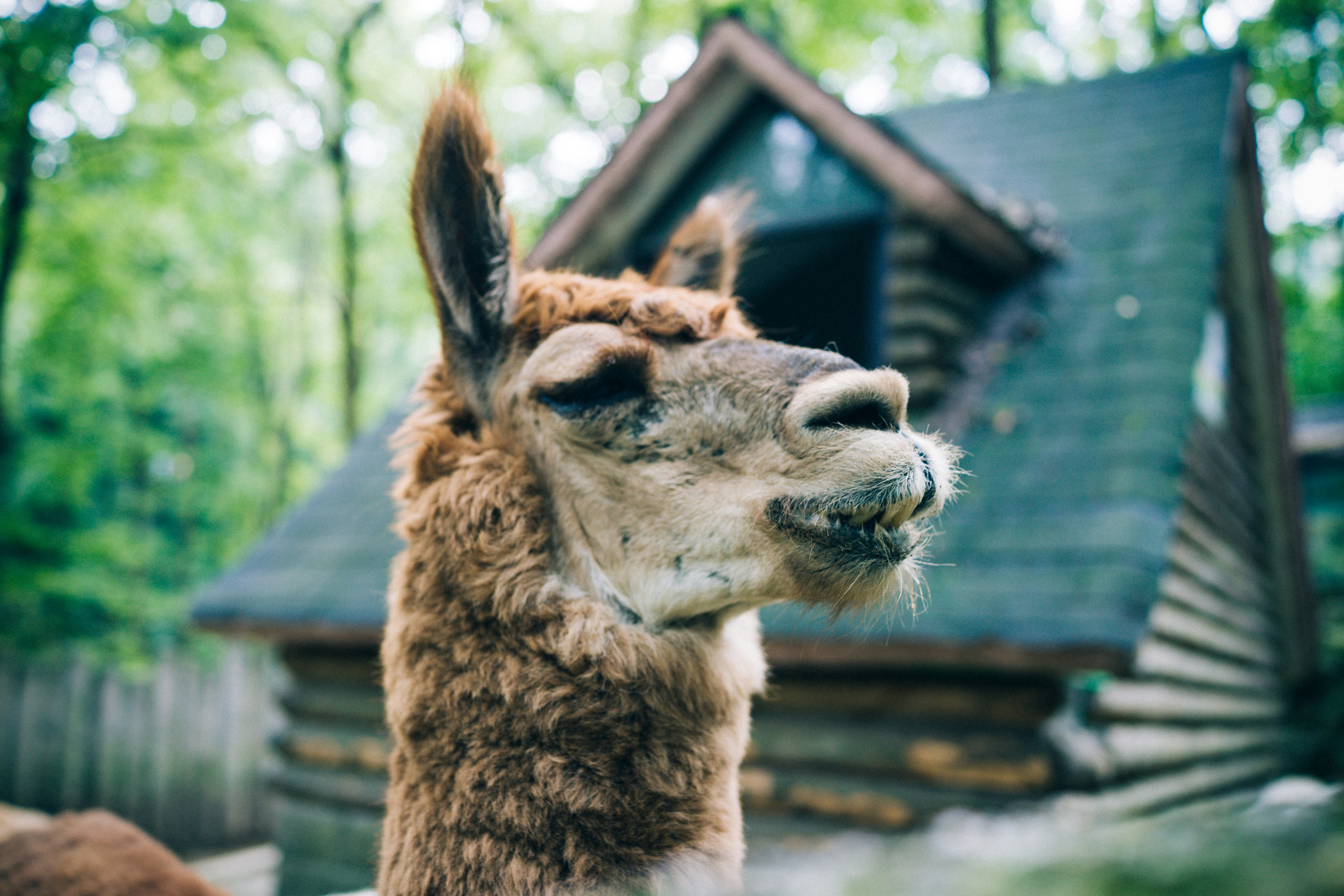 Photo by mocking_bird