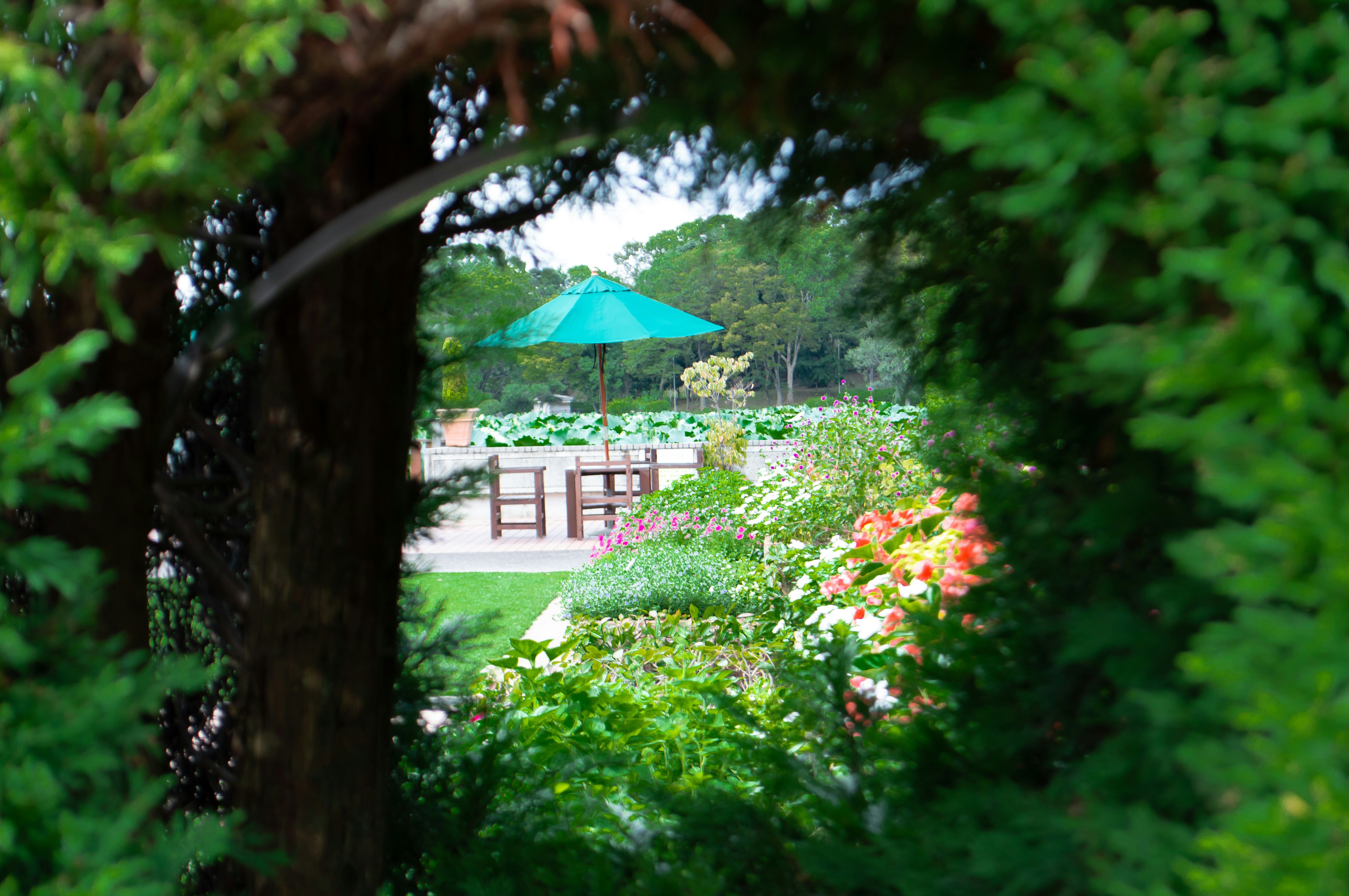 Photo by xyrene_sohtaro