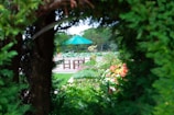 A lush garden scene framed by trees and foliage with vibrant flowers and greenery. In the center, there is a patio area featuring wooden tables and chairs, shaded by a large turquoise umbrella. This outdoor space is surrounded by various plants and flowers, and beyond is a line of green trees under a slightly cloudy sky.