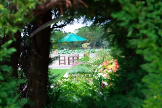 A lush garden scene framed by trees and foliage with vibrant flowers and greenery. In the center, there is a patio area featuring wooden tables and chairs, shaded by a large turquoise umbrella. This outdoor space is surrounded by various plants and flowers, and beyond is a line of green trees under a slightly cloudy sky.