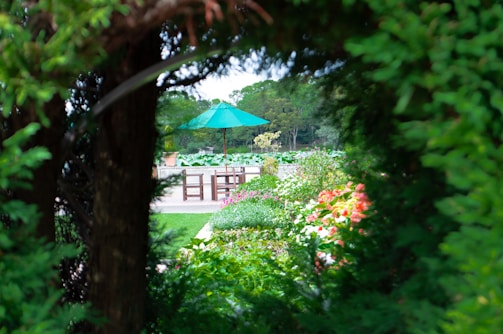 A lush garden scene framed by trees and foliage with vibrant flowers and greenery. In the center, there is a patio area featuring wooden tables and chairs, shaded by a large turquoise umbrella. This outdoor space is surrounded by various plants and flowers, and beyond is a line of green trees under a slightly cloudy sky.