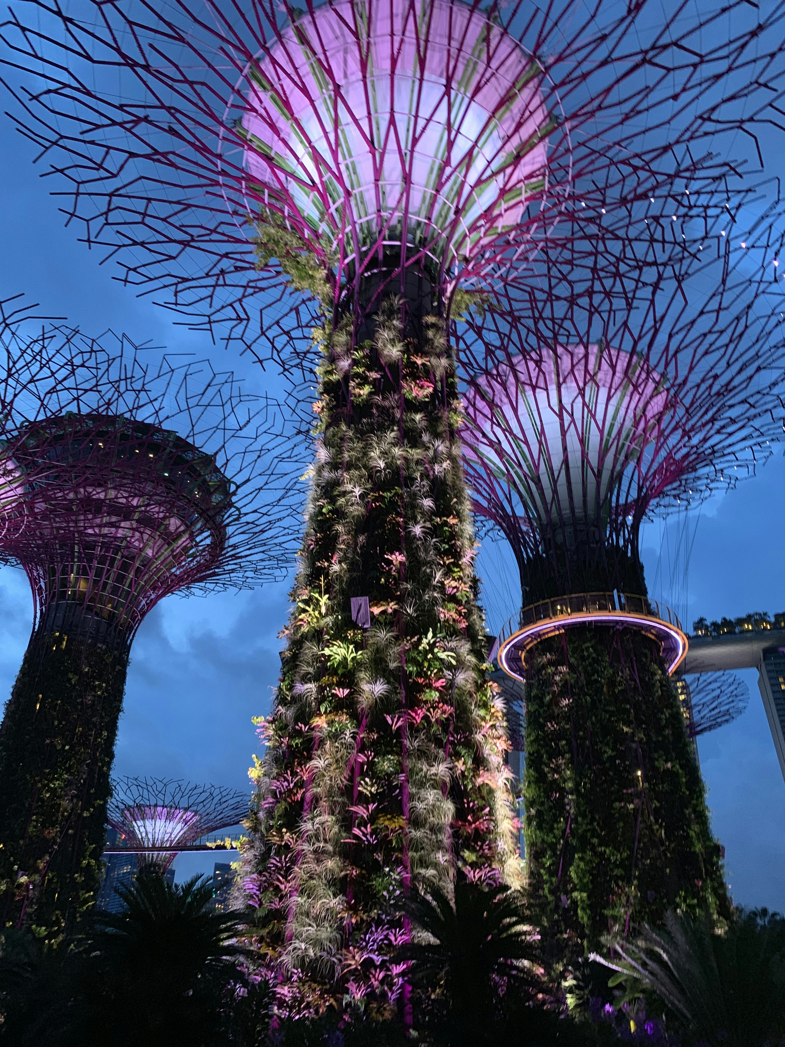 Photo by bhavyapratap27