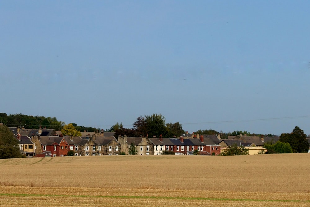 Campo de hierba verde con casas durante el día