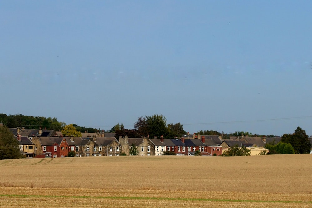 green grass field with houses during daytime