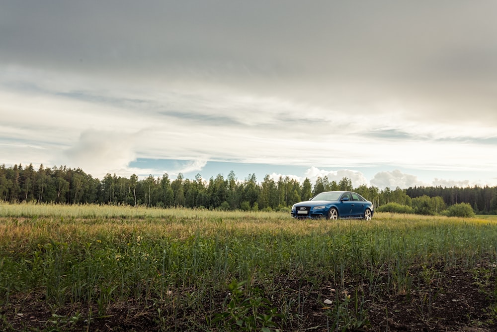 blue car on green grass field under white clouds during daytime