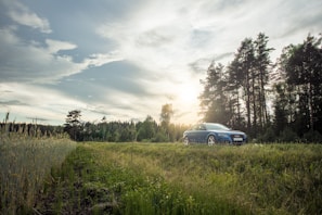 A blue compact car parked by a tree with sunlight filtering through, giving a welcoming feel
