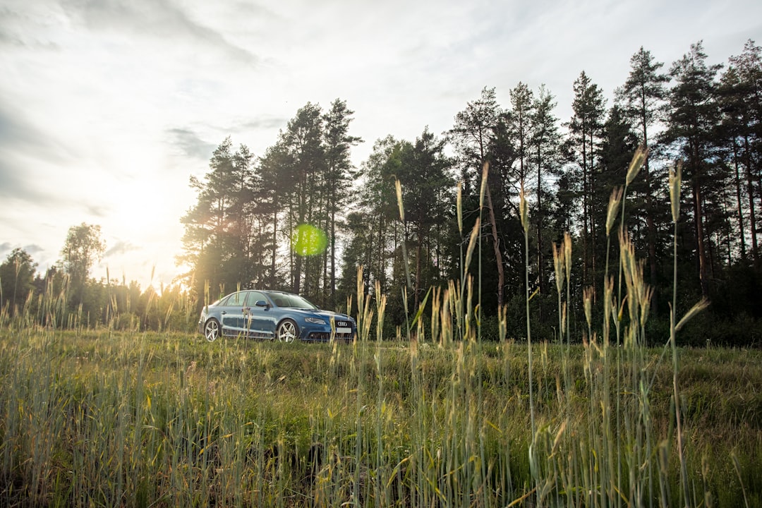 blue car parked beside green grass field during daytime