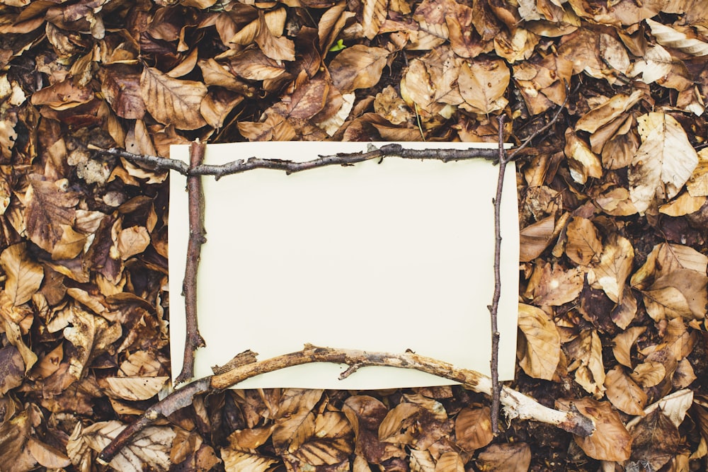 papier d’imprimante blanc sur feuilles séchées brunes