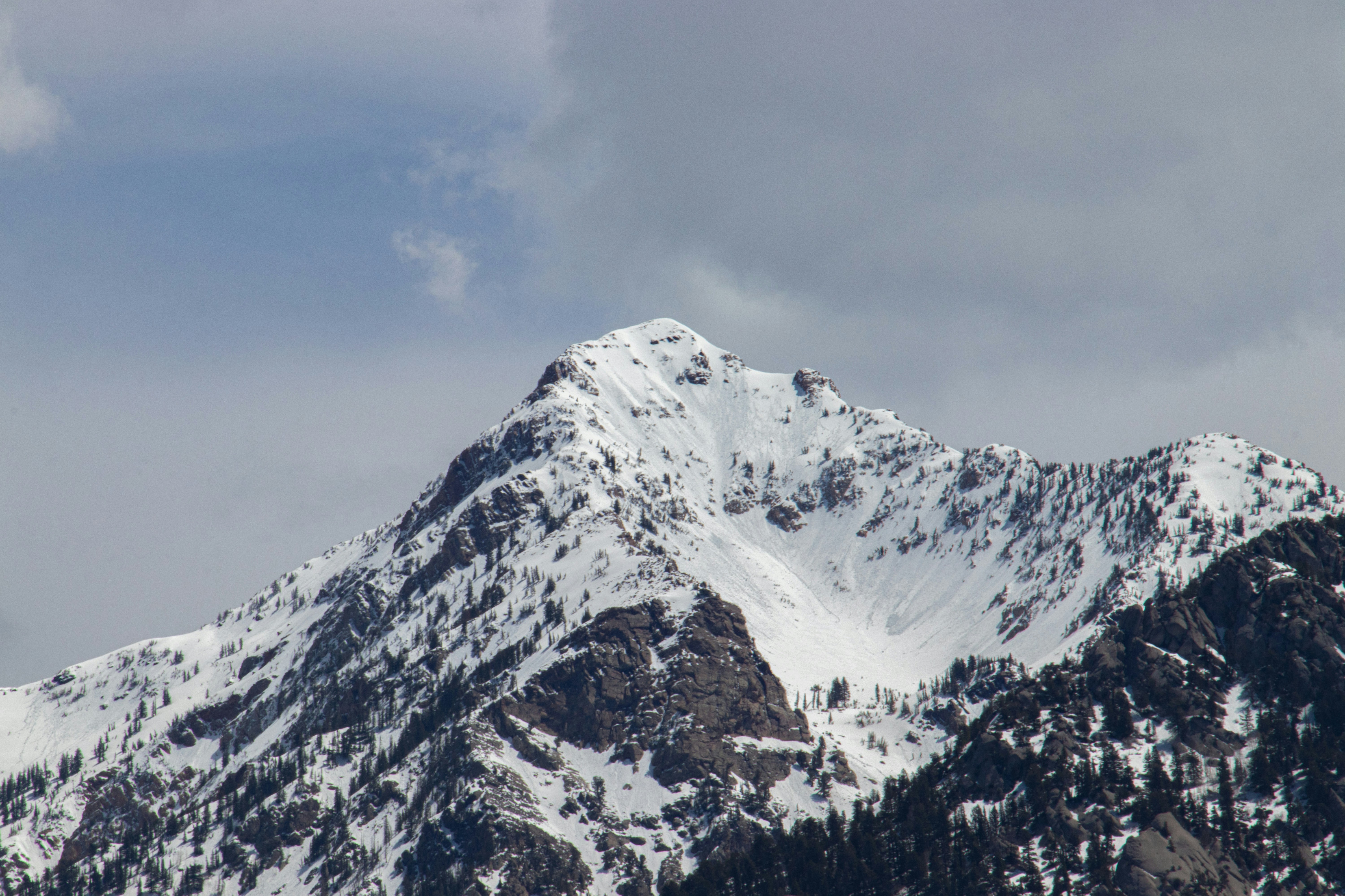 Photo by anthonymucci