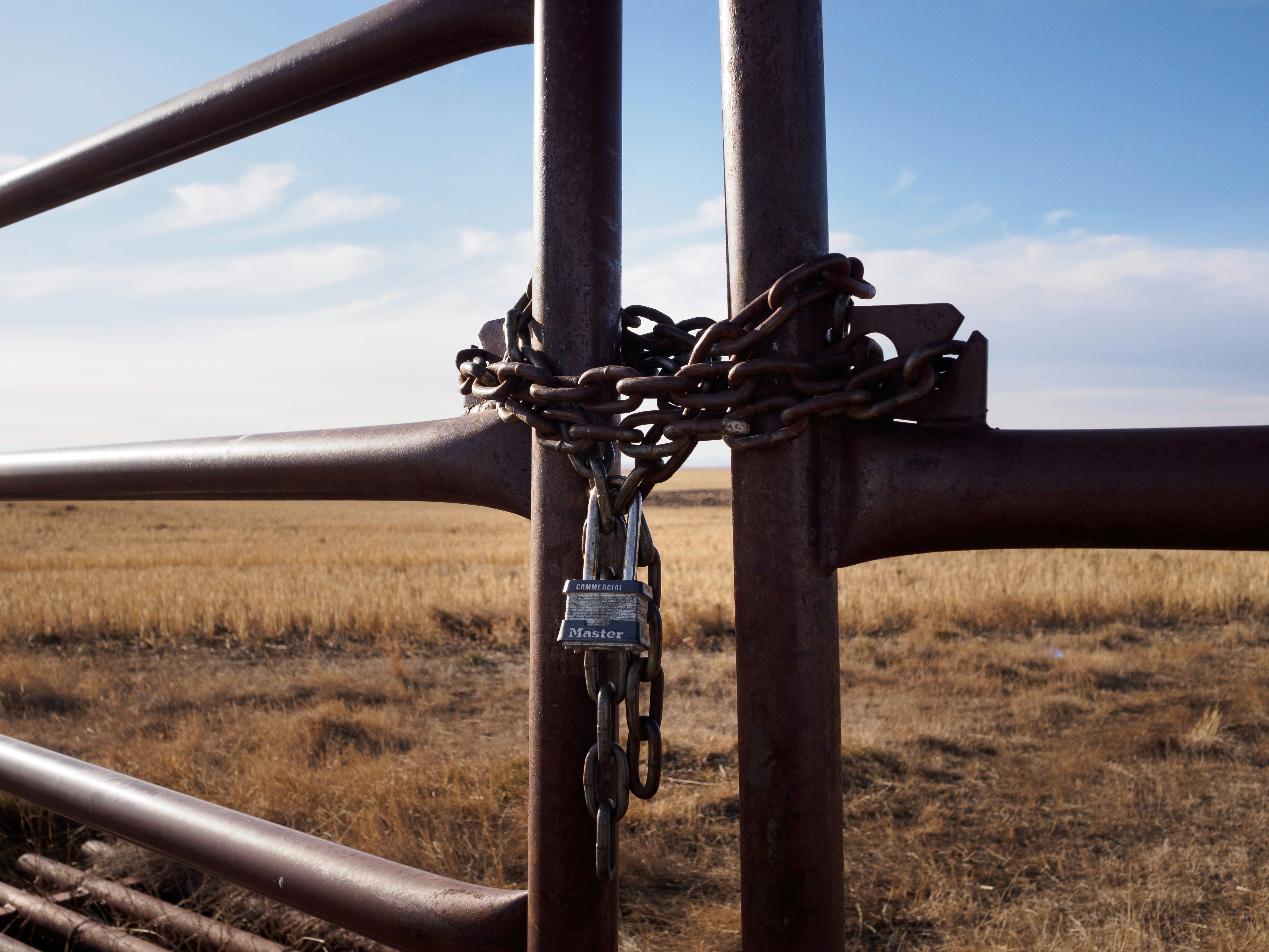 Red gate and horse shit