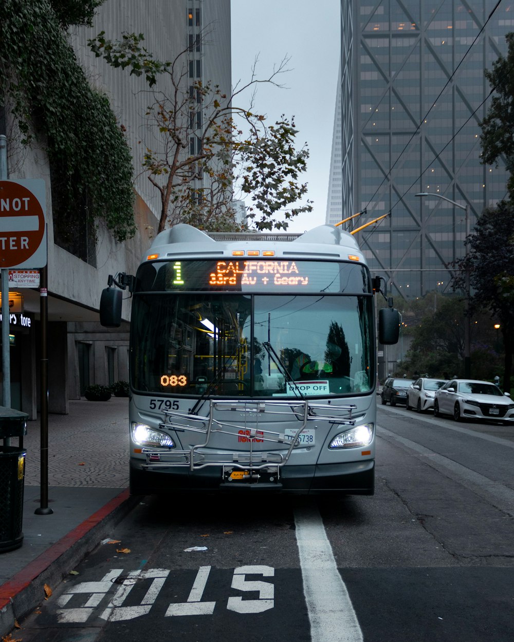 weißer und grüner Bus tagsüber auf der Straße