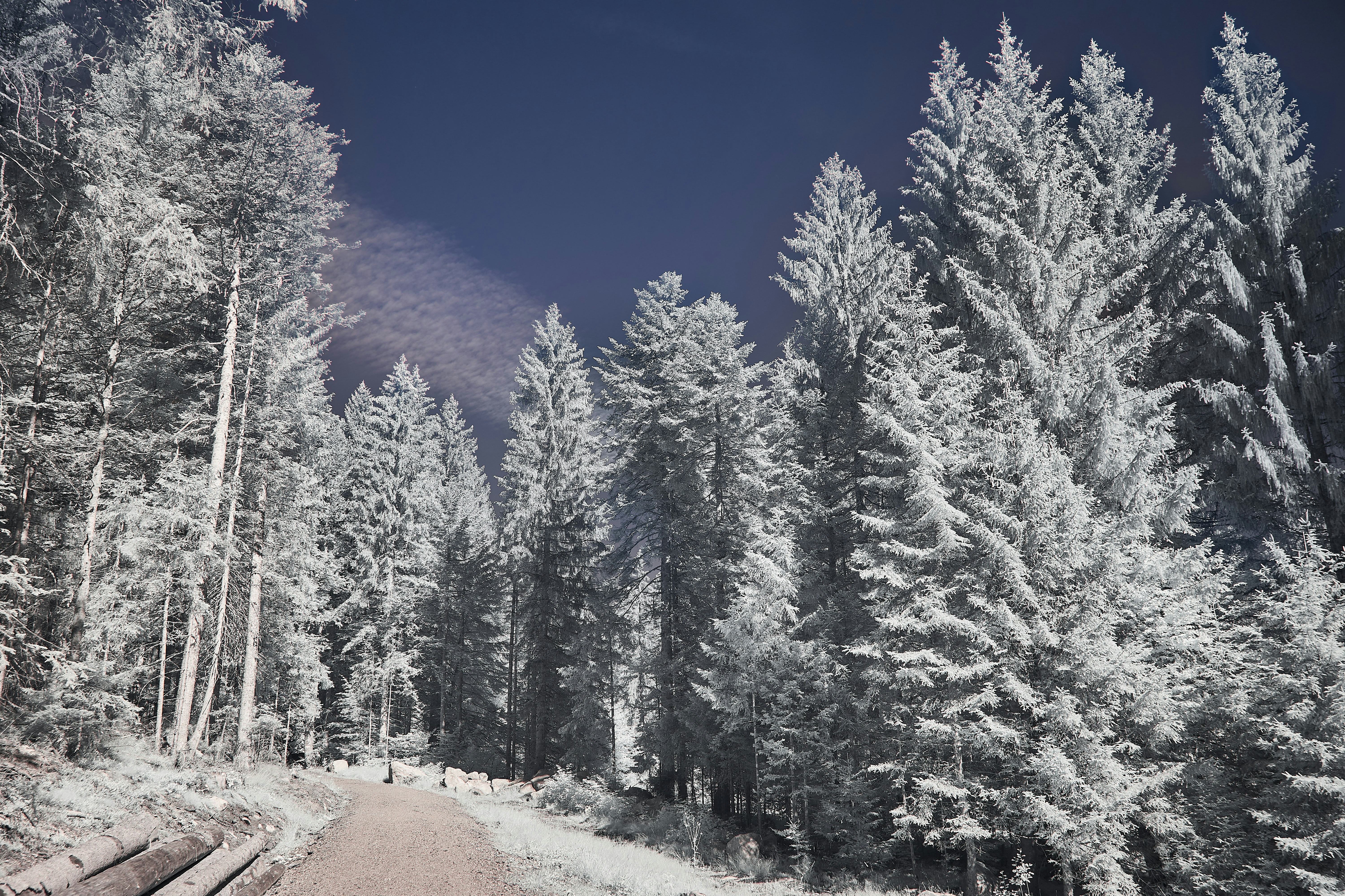 Why Habermas Defends the Enlightenment Project