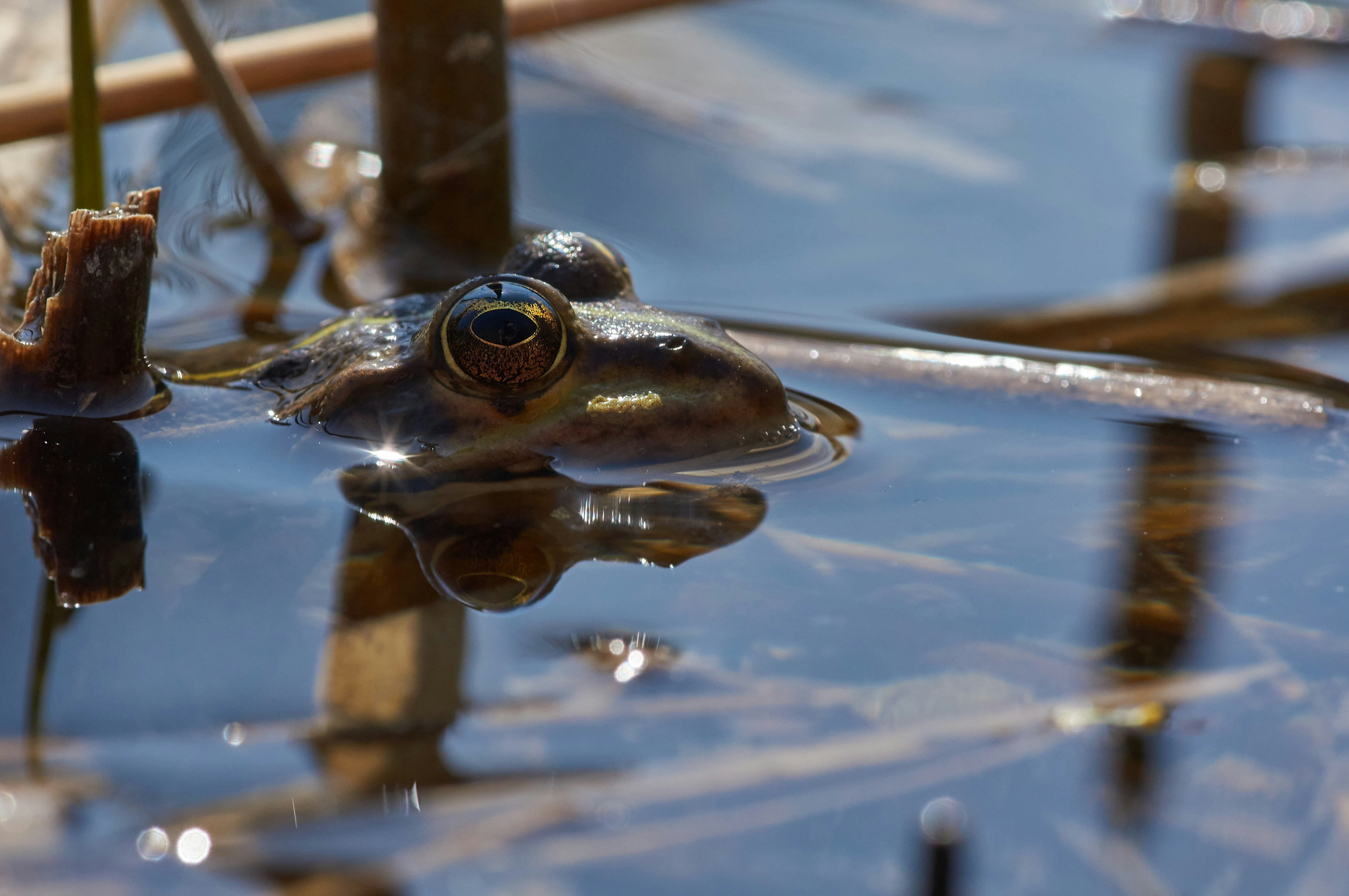 Photo by wolfgang_hasselmann