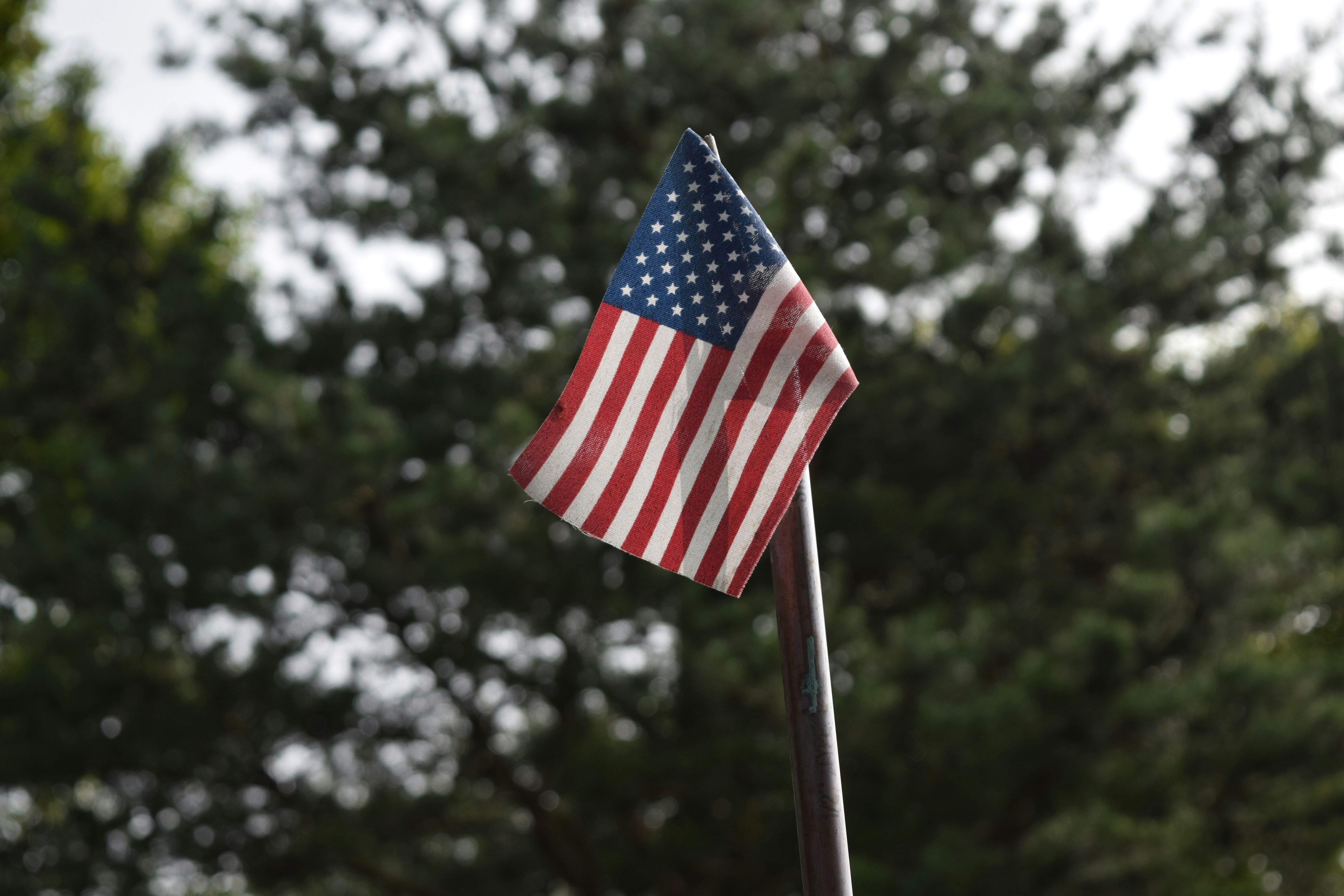 Photo by robertbaird