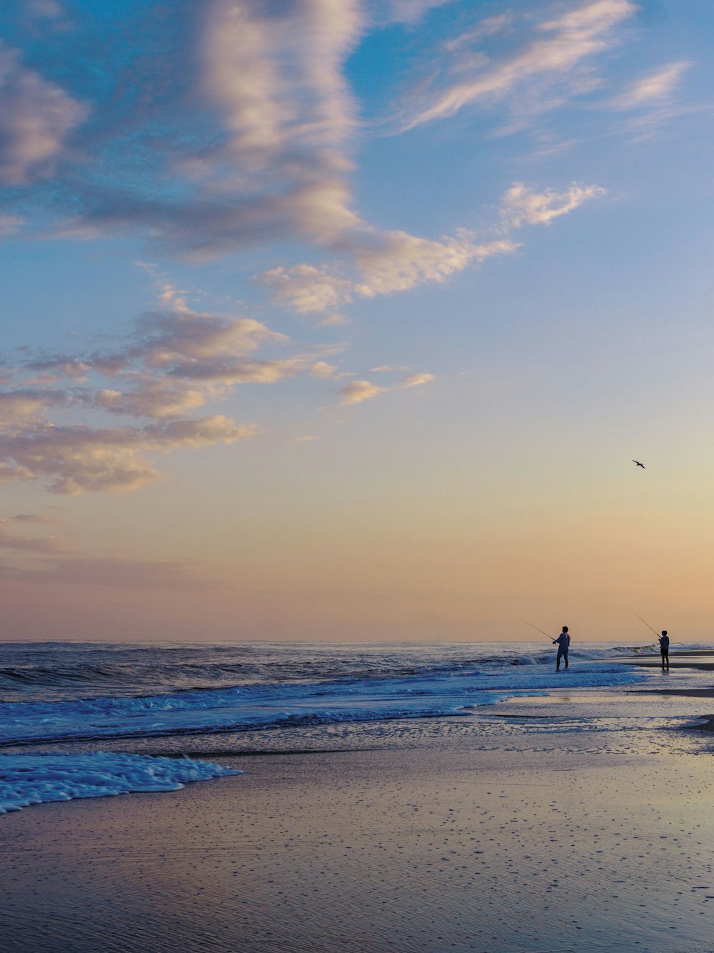 silhouette of person standing on beach during sunset