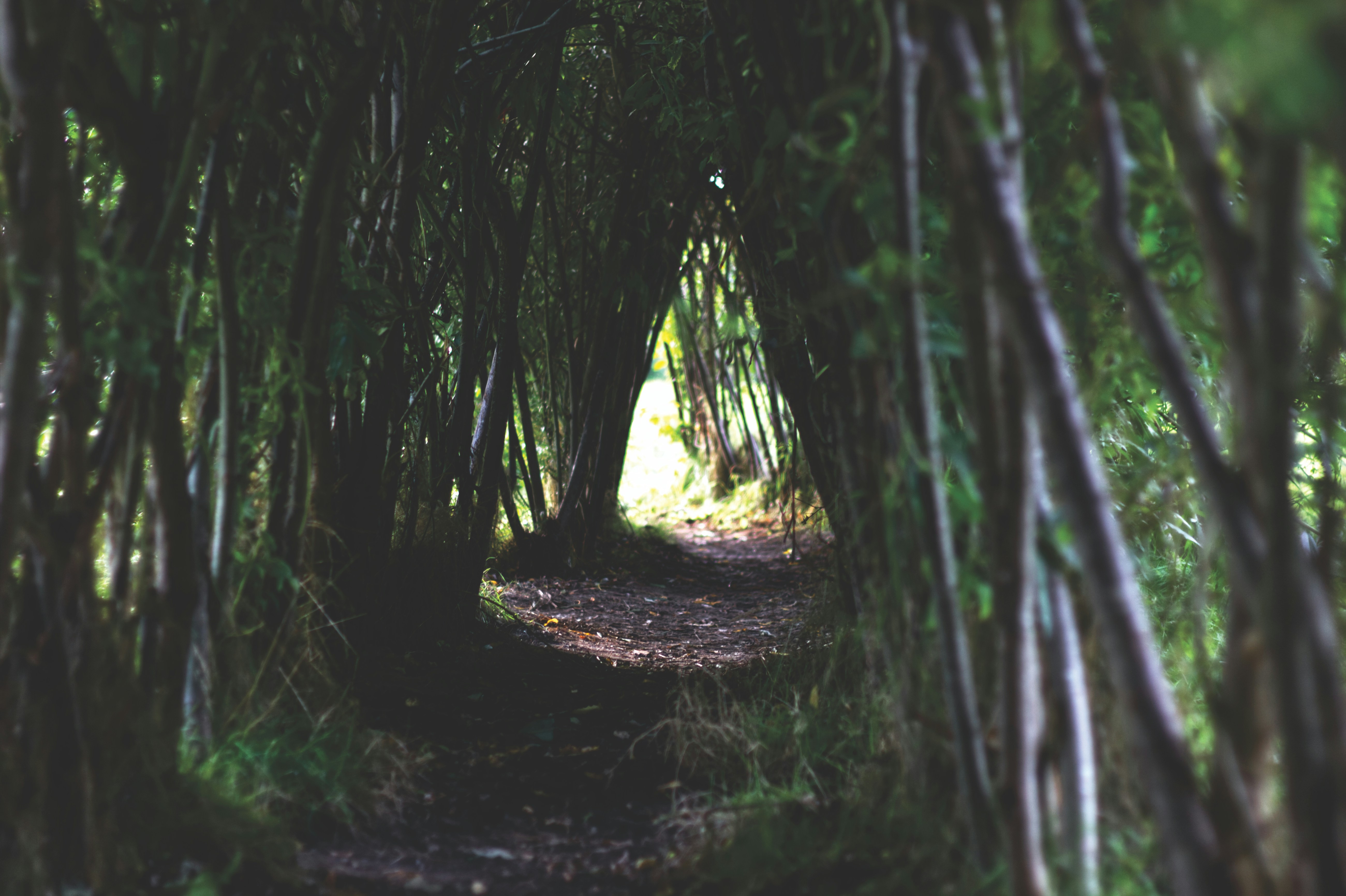 Photo by petecrockett