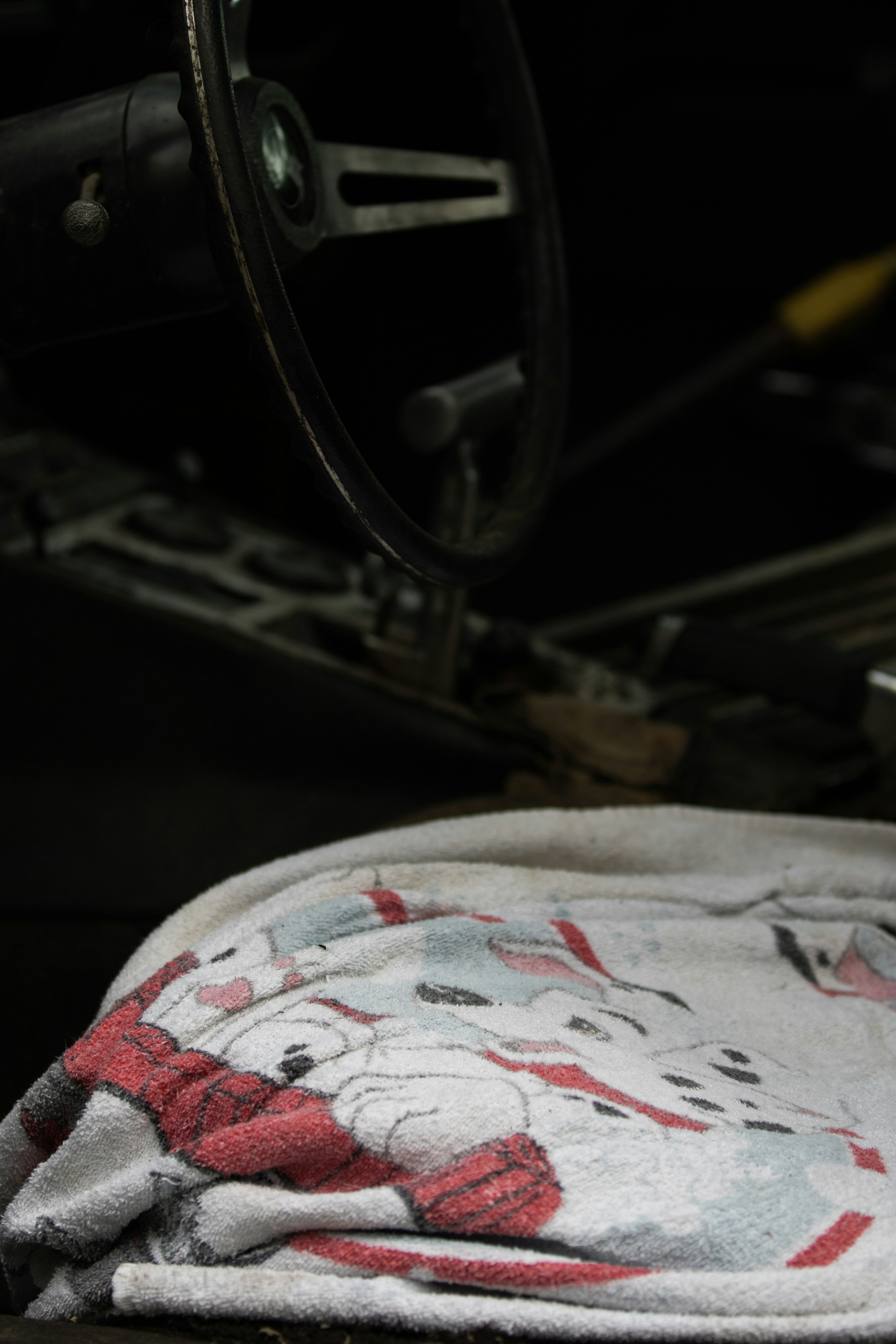 곽튜브 와이프의 인기와 트렌드 분석