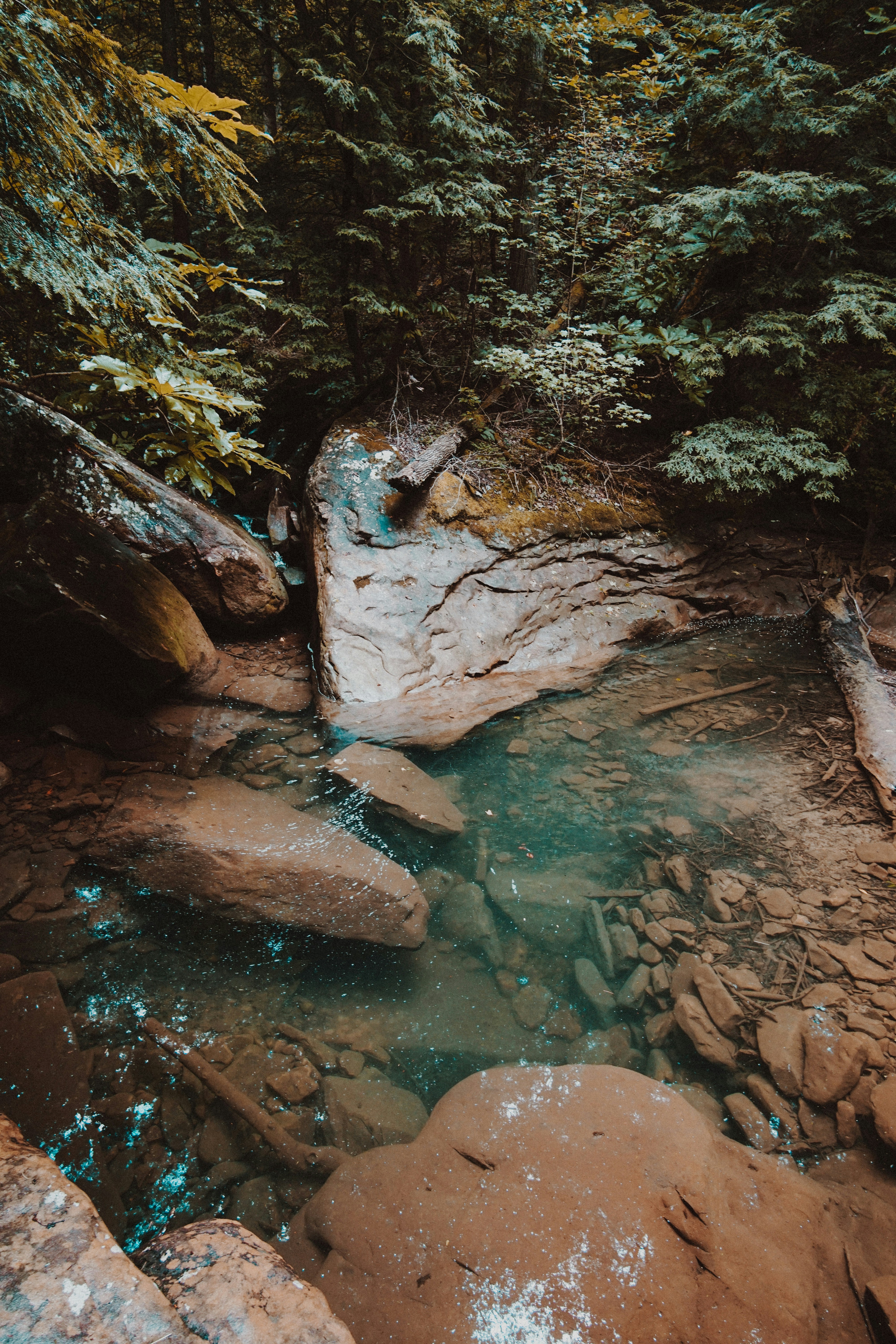 Photo by wandercreative