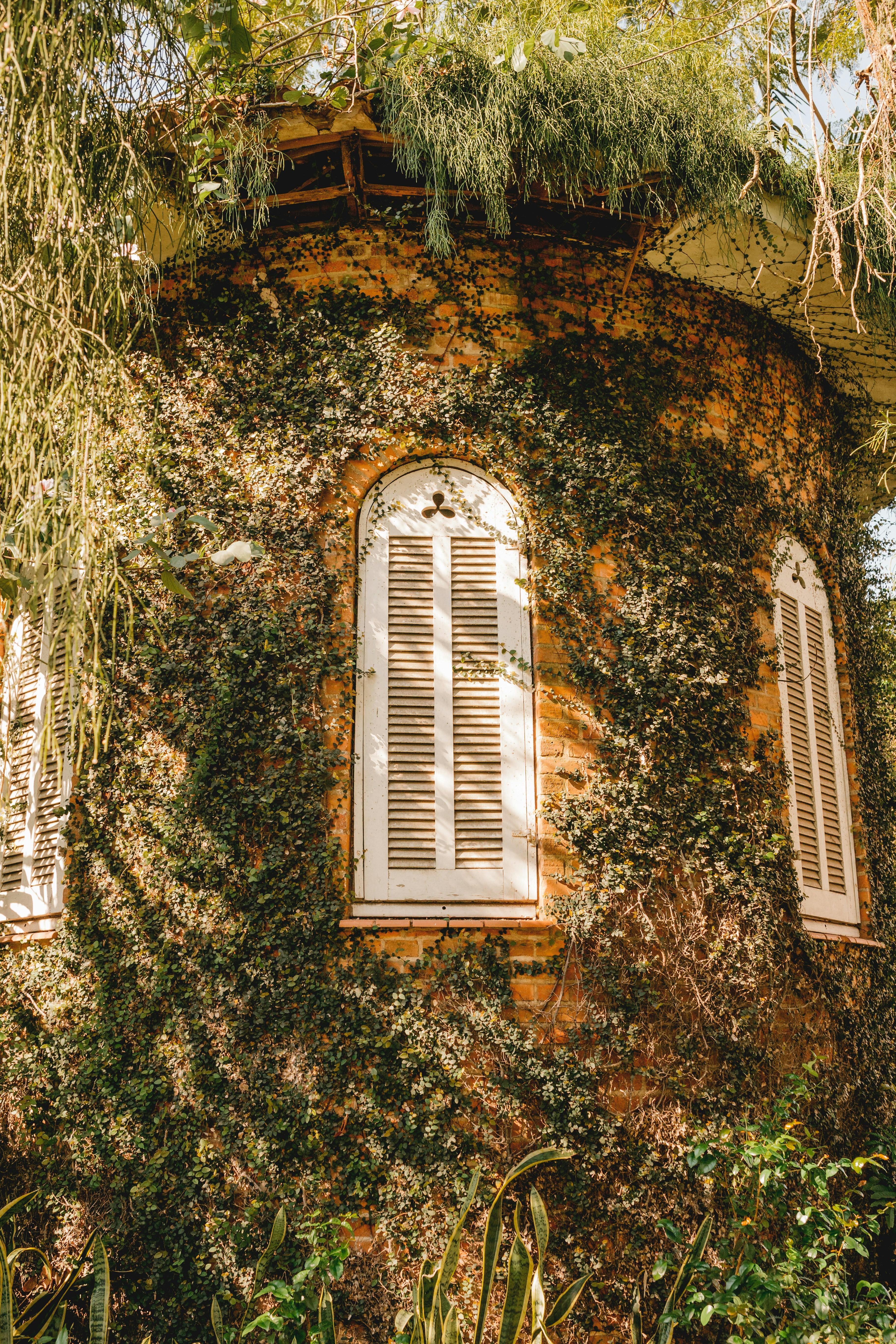 Photo by jonathanborba