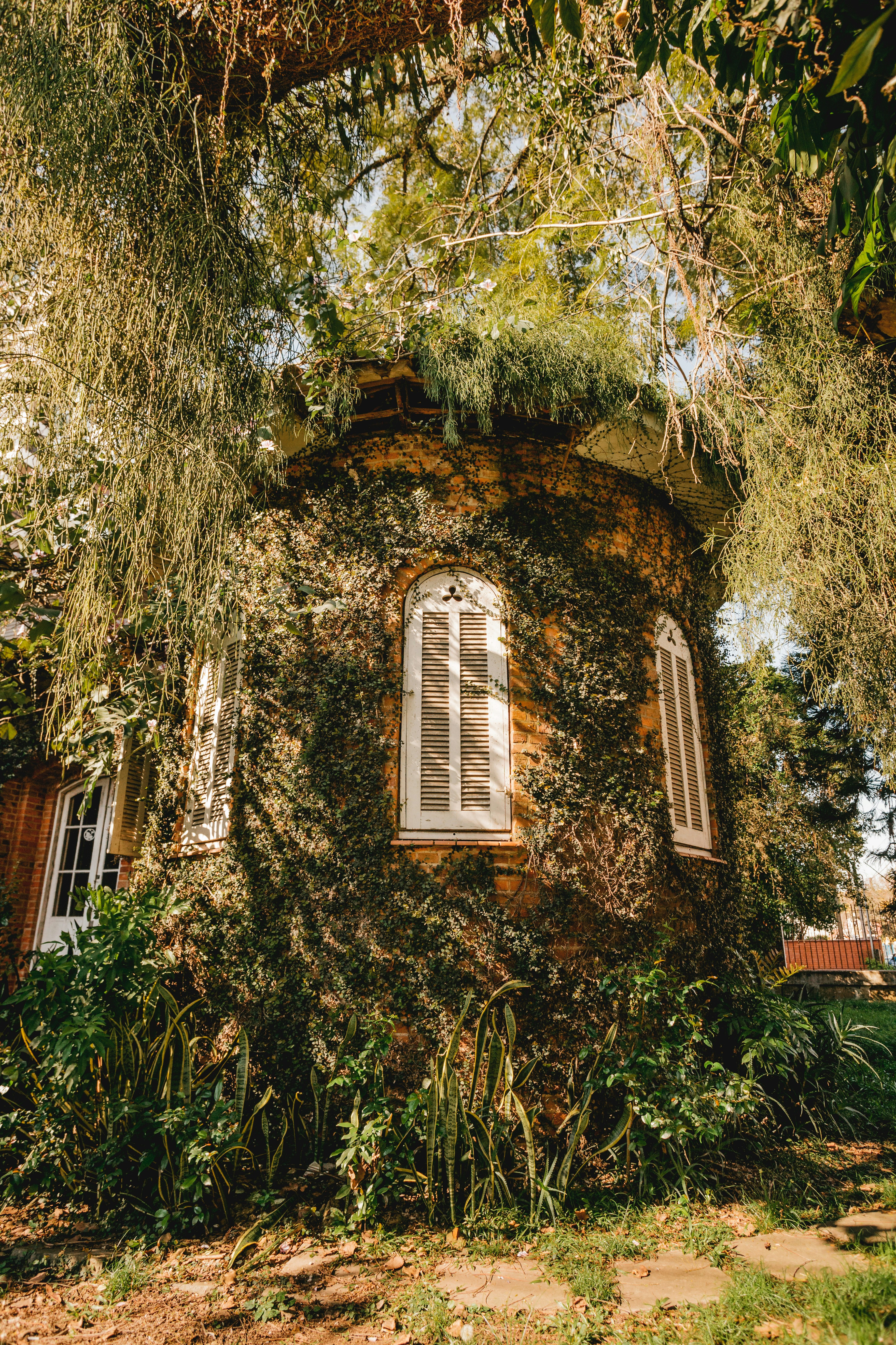 Photo by jonathanborba