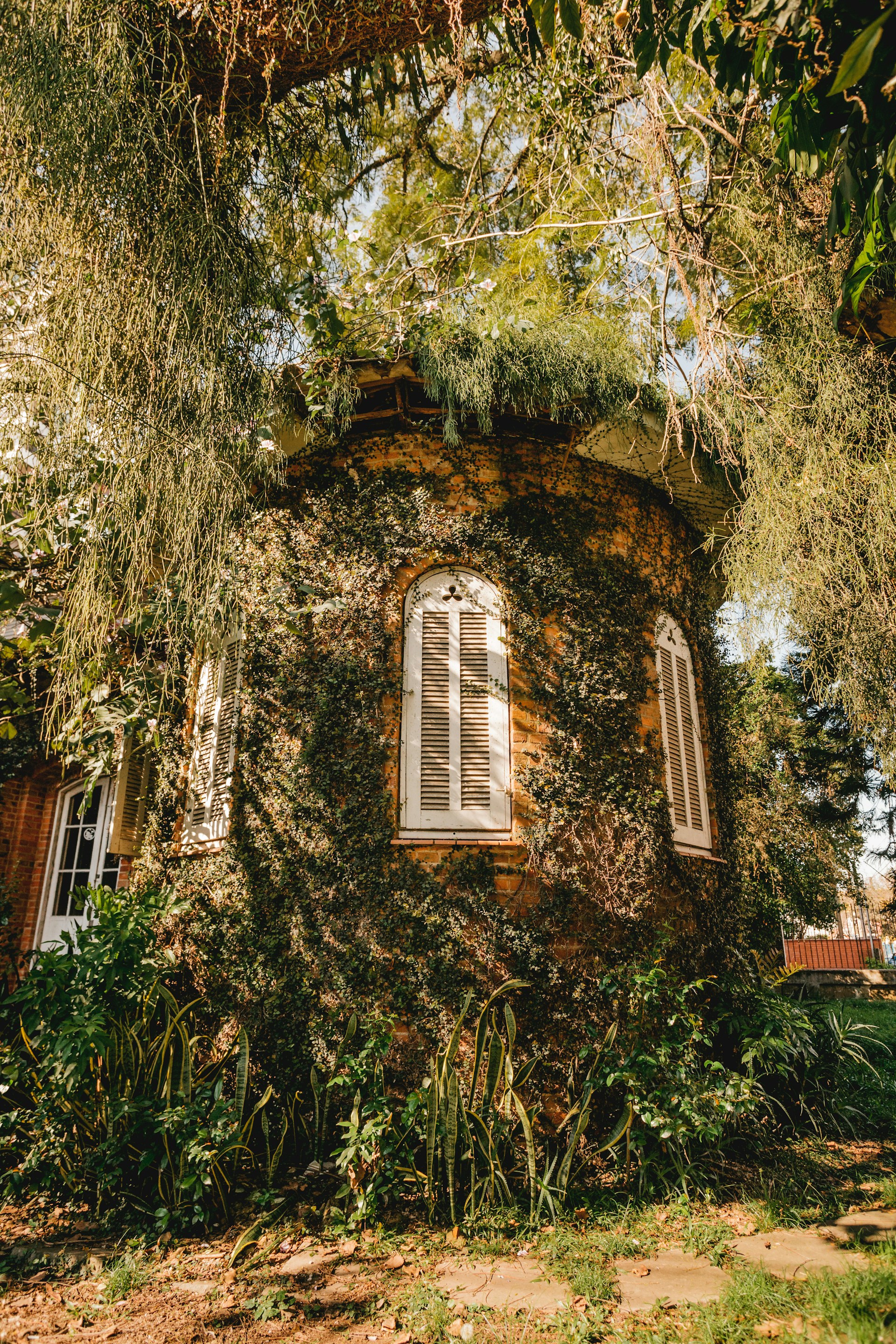 brown concrete building with glass window