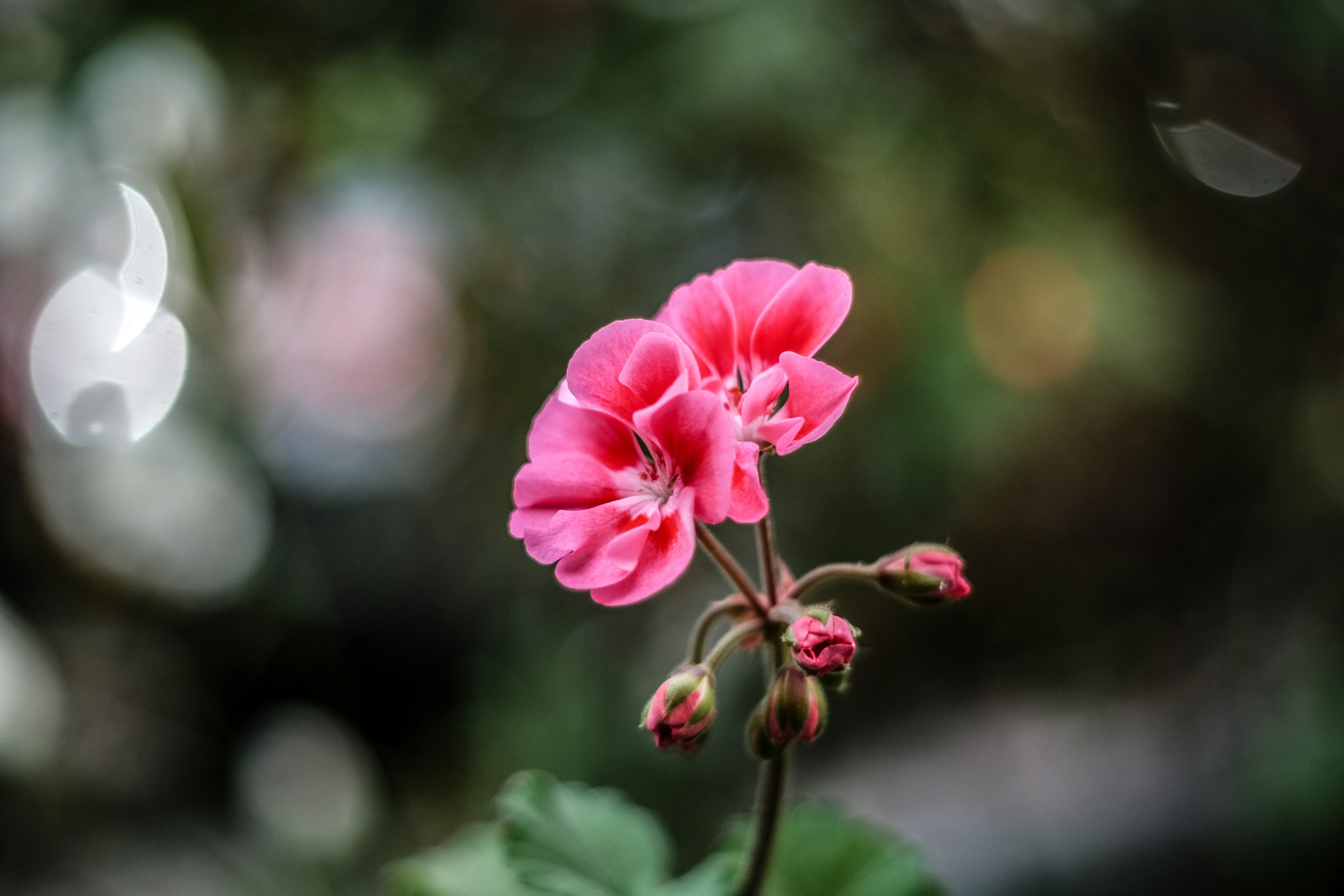 Photo by doodelspics