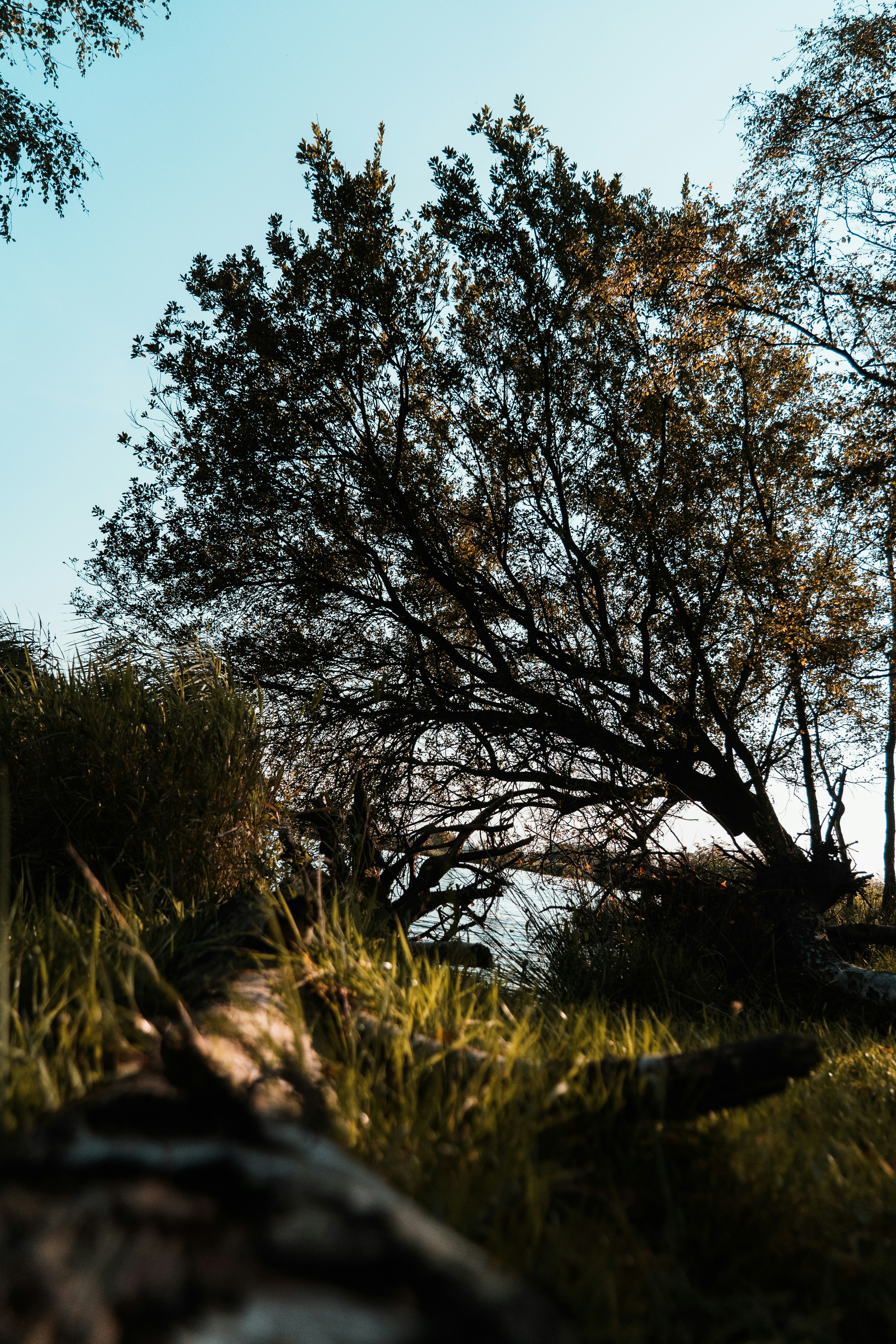 Photo by mitchelanneveldt