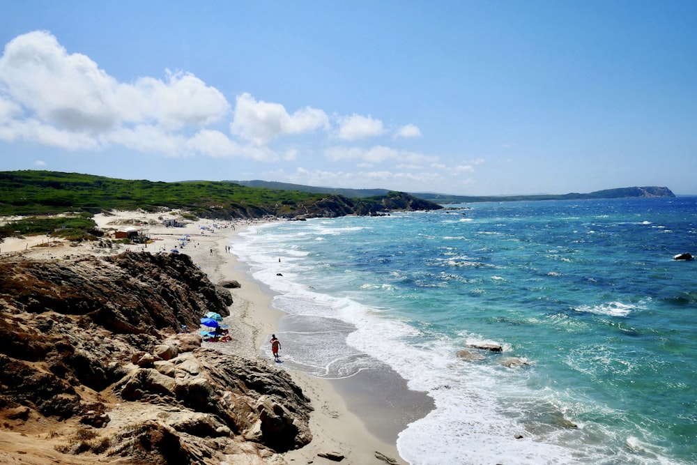 people on beach during daytime