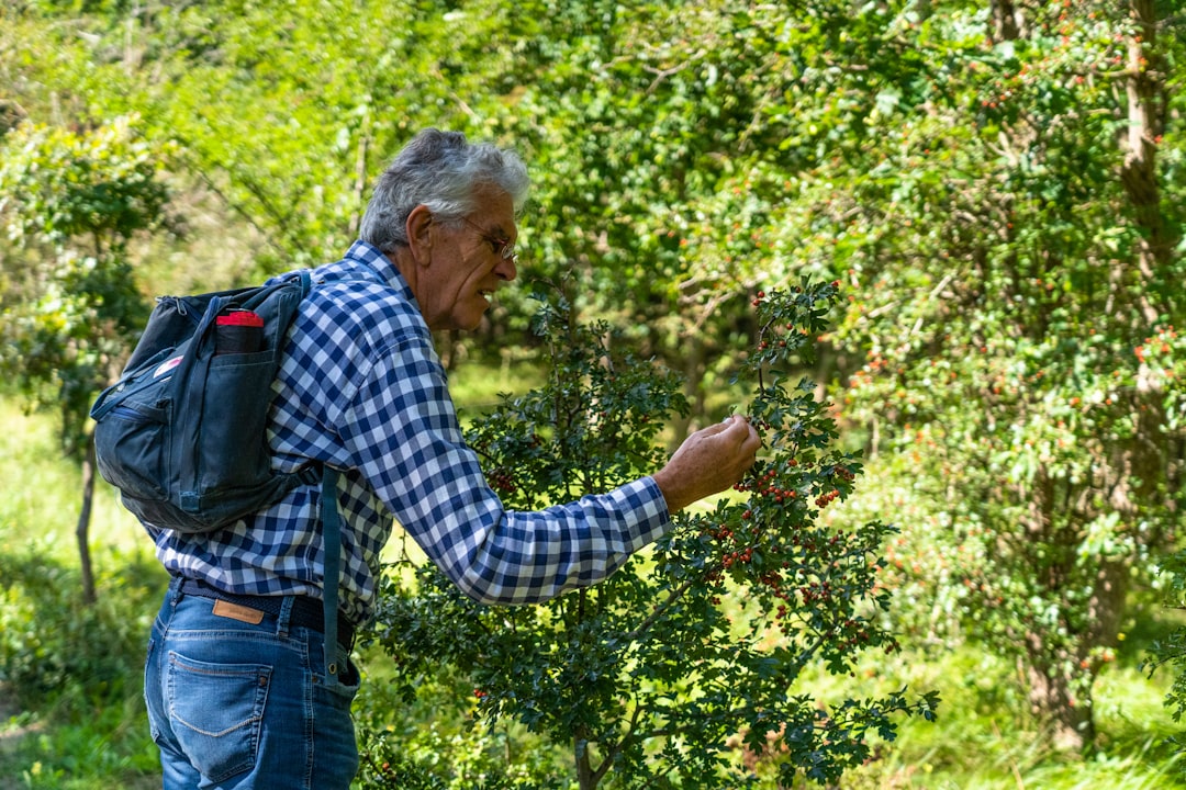 man in blue and white plaid dress shirt and blue denim jeans standing and holding green