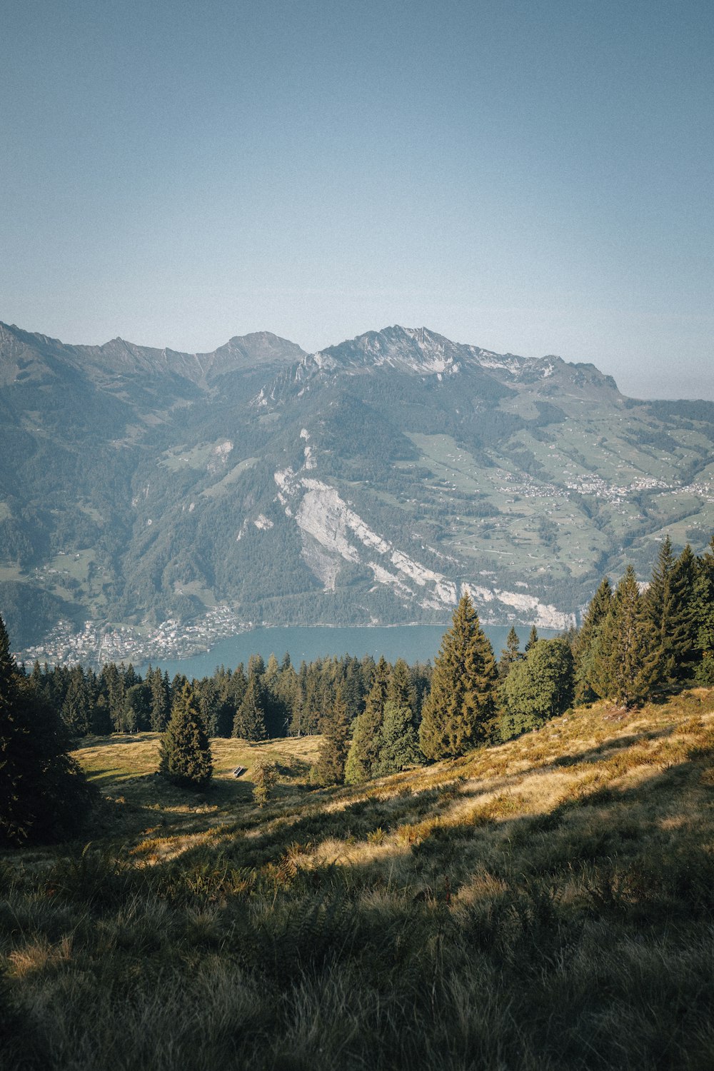 green pine trees near snow covered mountain during daytime