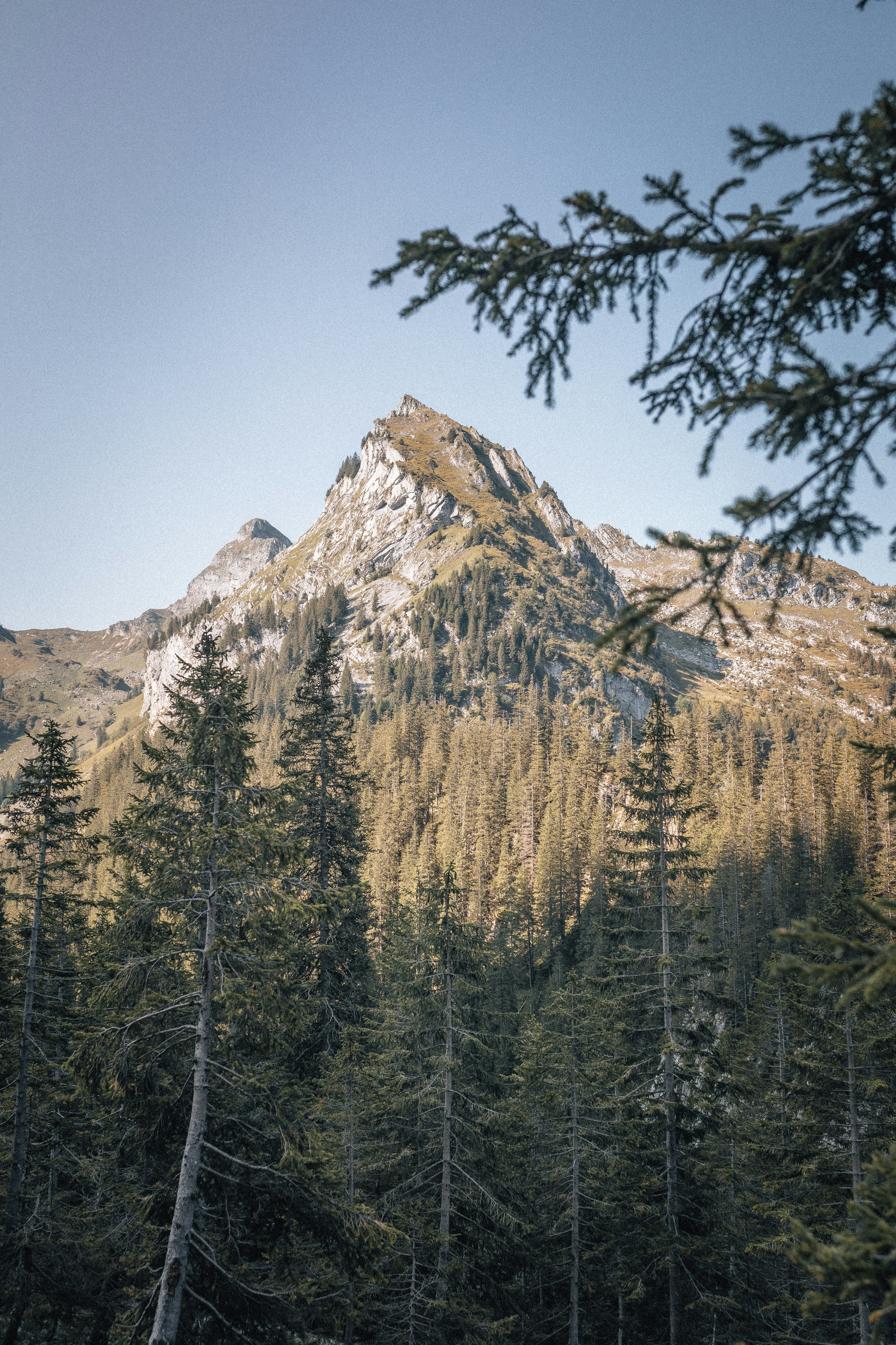 Photo by corina_rainer_