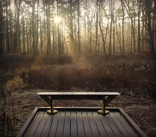 brown wooden picnic table surrounded by trees during daytime in Aylmer Canada