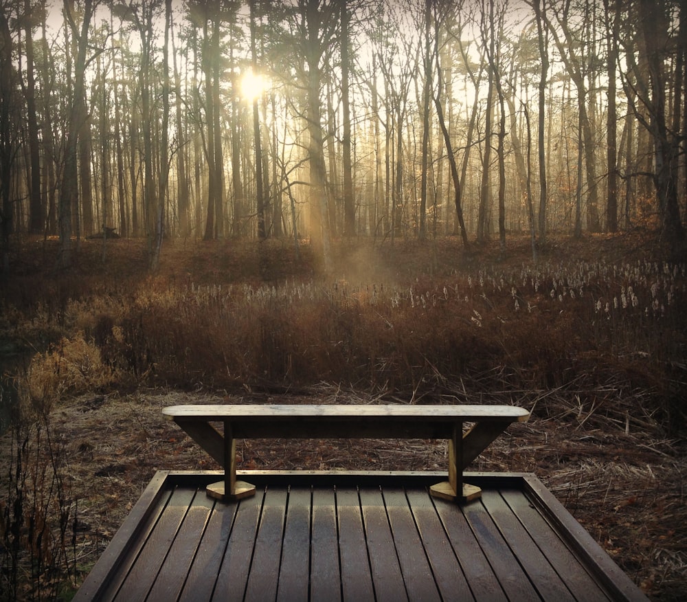 brown wooden picnic table surrounded by trees during daytime