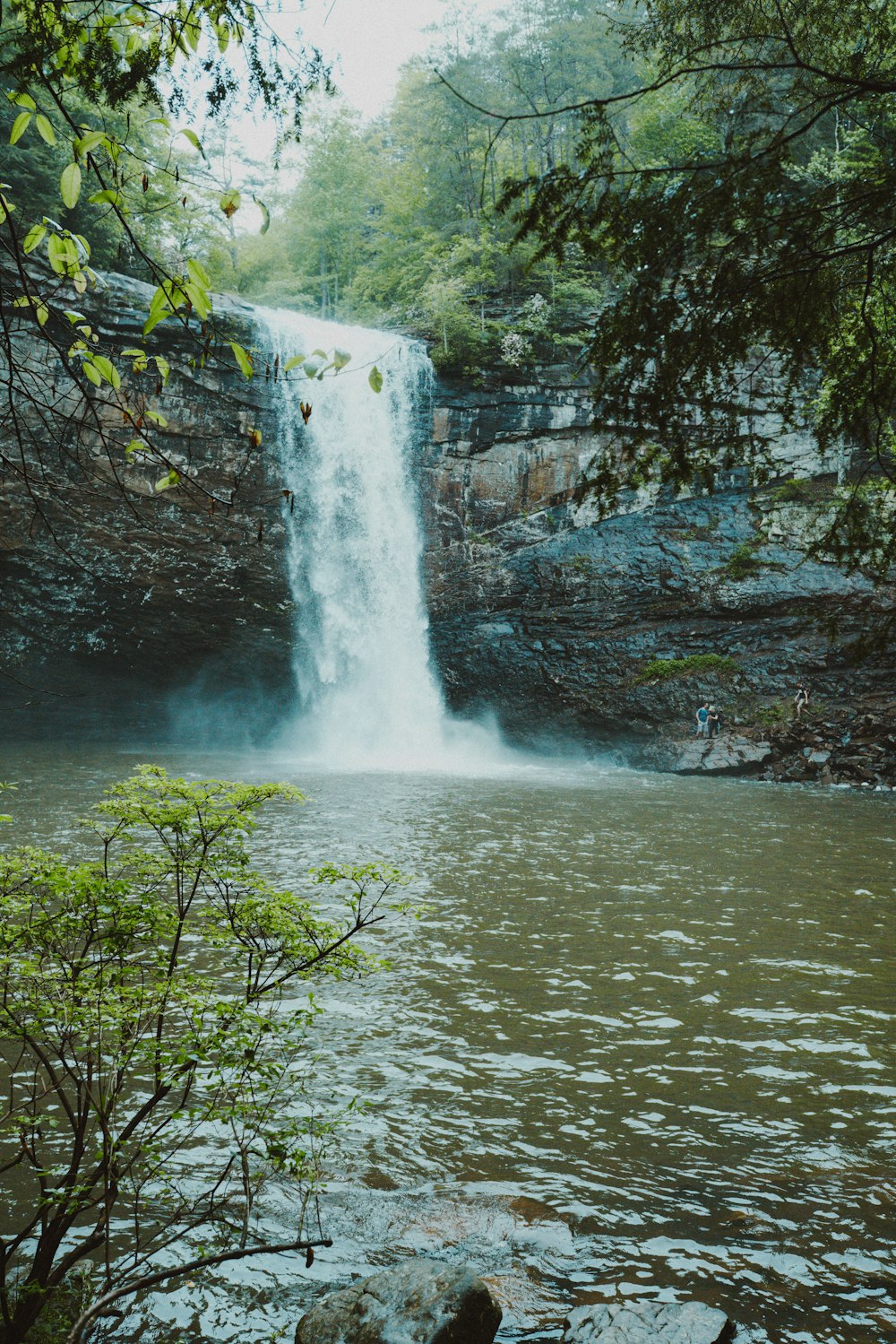 Wasserfälle mitten im Wald