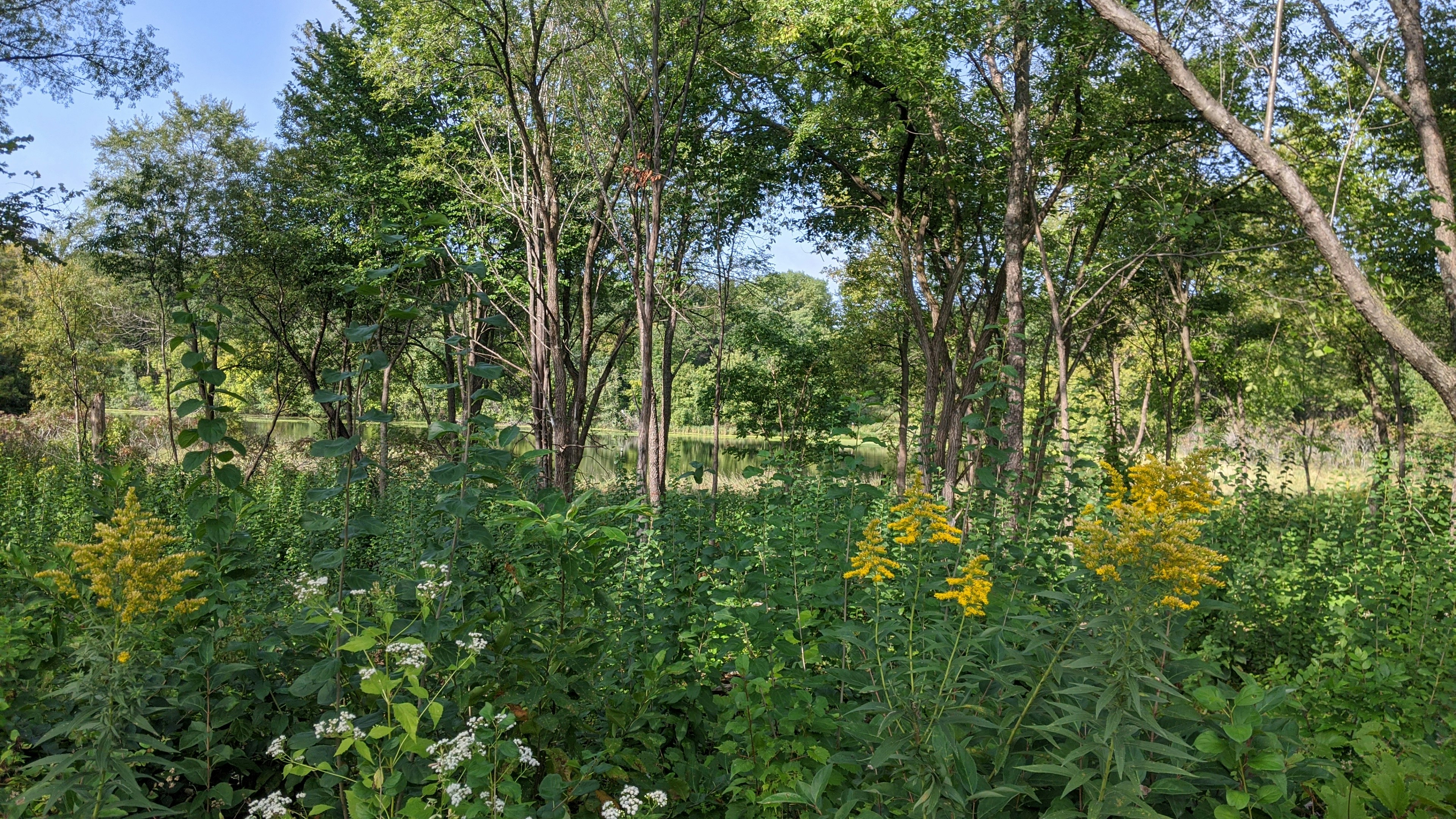 Photo by alothernhydrant