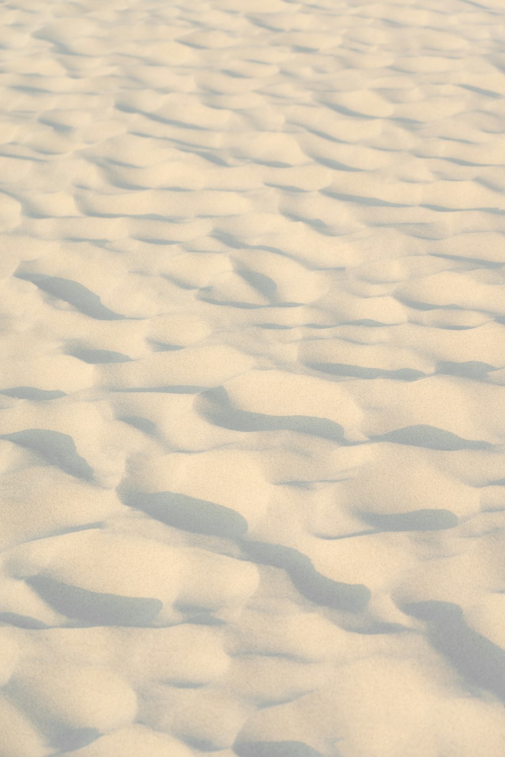 white sand with white sand