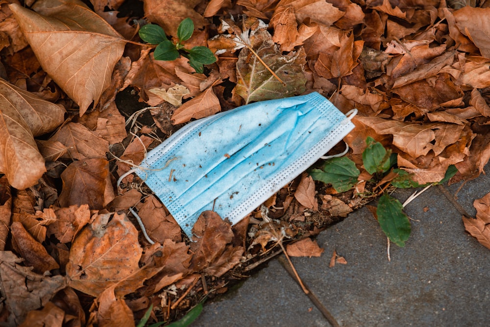 white textile on brown dried leaves