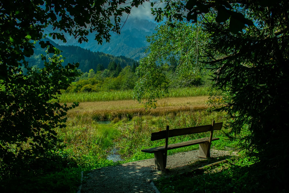 brown wooden bench on green grass field near green trees during daytime