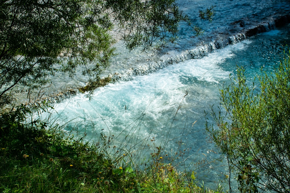 green grass near body of water during daytime