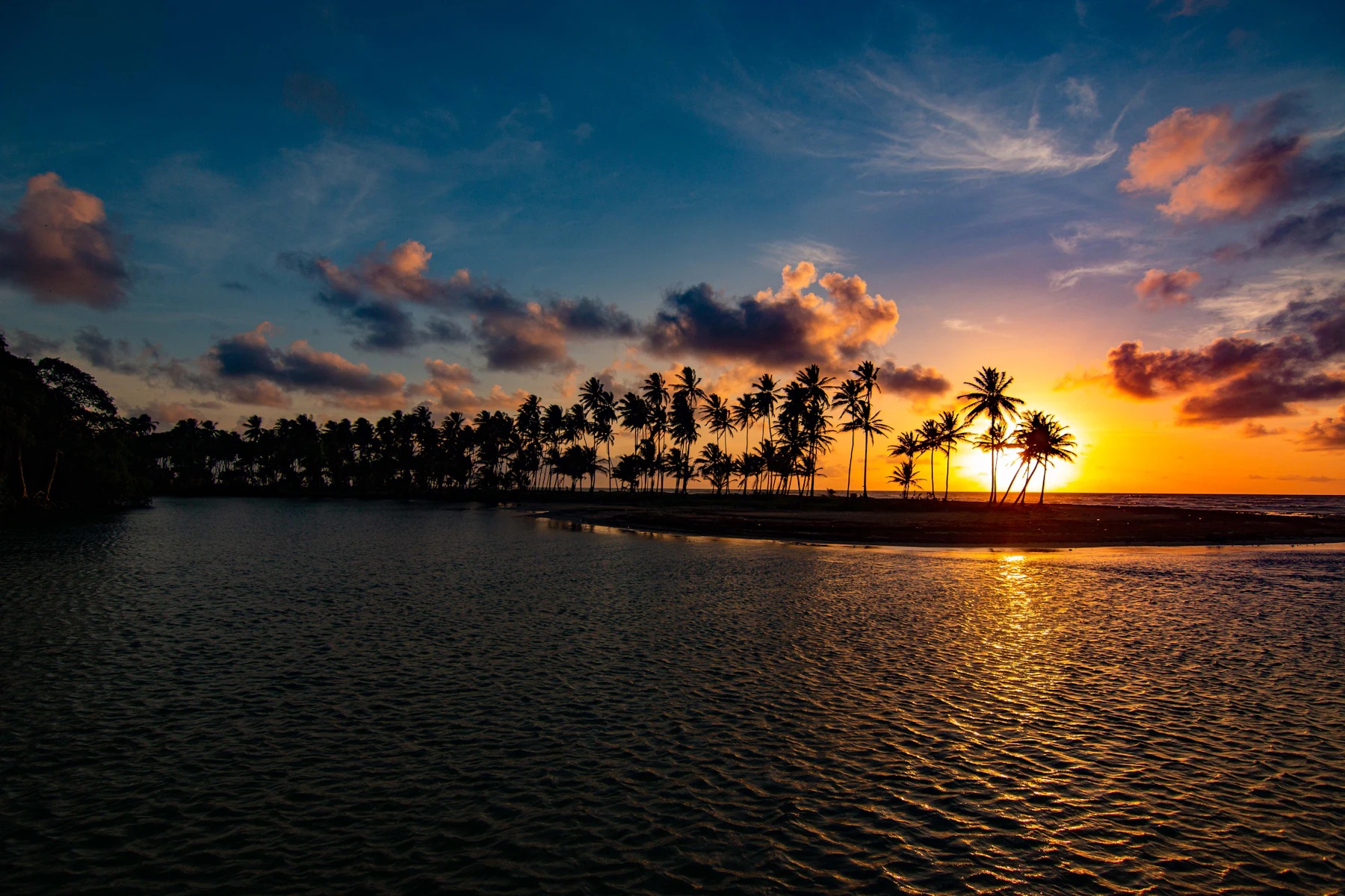 Palm trees silhouetted against a Caribbean sunset